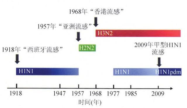 为何王辰院士说新冠病毒有可能长期存在从流感暴发说起