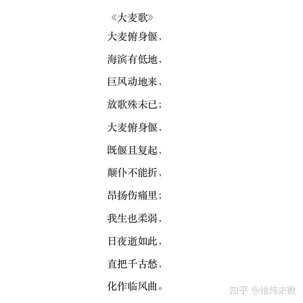 成语言什么无什么