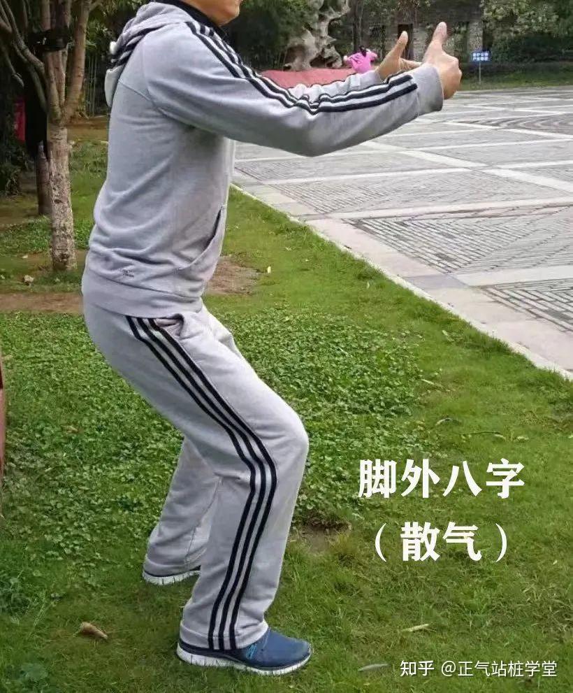 站桩的正确姿势方法教学视频 - 知乎