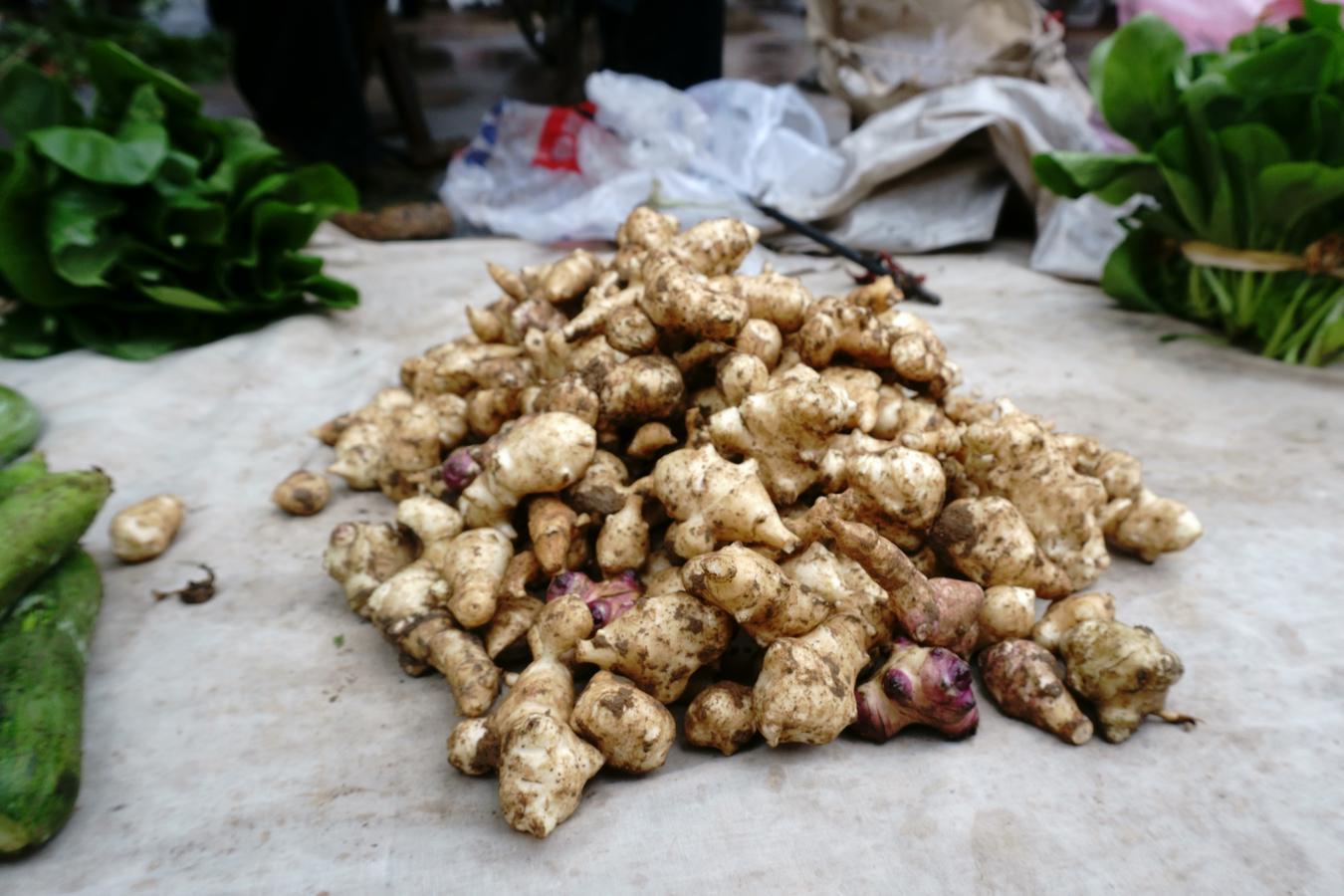 小时候吃过的洋姜原来跟菊花有这层关系 知乎 小时候吃过的洋姜原来跟菊花有这层关系 知乎