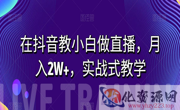 《在抖音教小白做直播项目》月入2W+，实战式教学_wwz