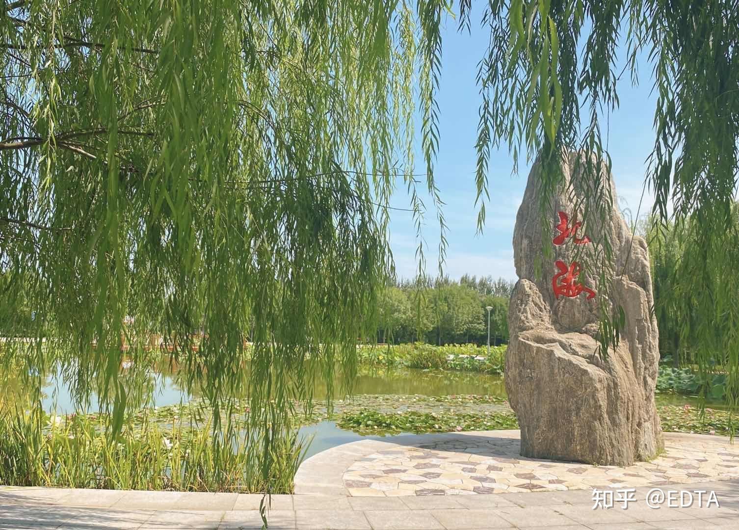 在天津杨村一中就读是一种怎样的体验？ - 知乎