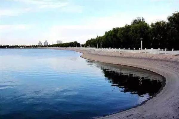 嘉峪关东湖海豚凌空欲跃