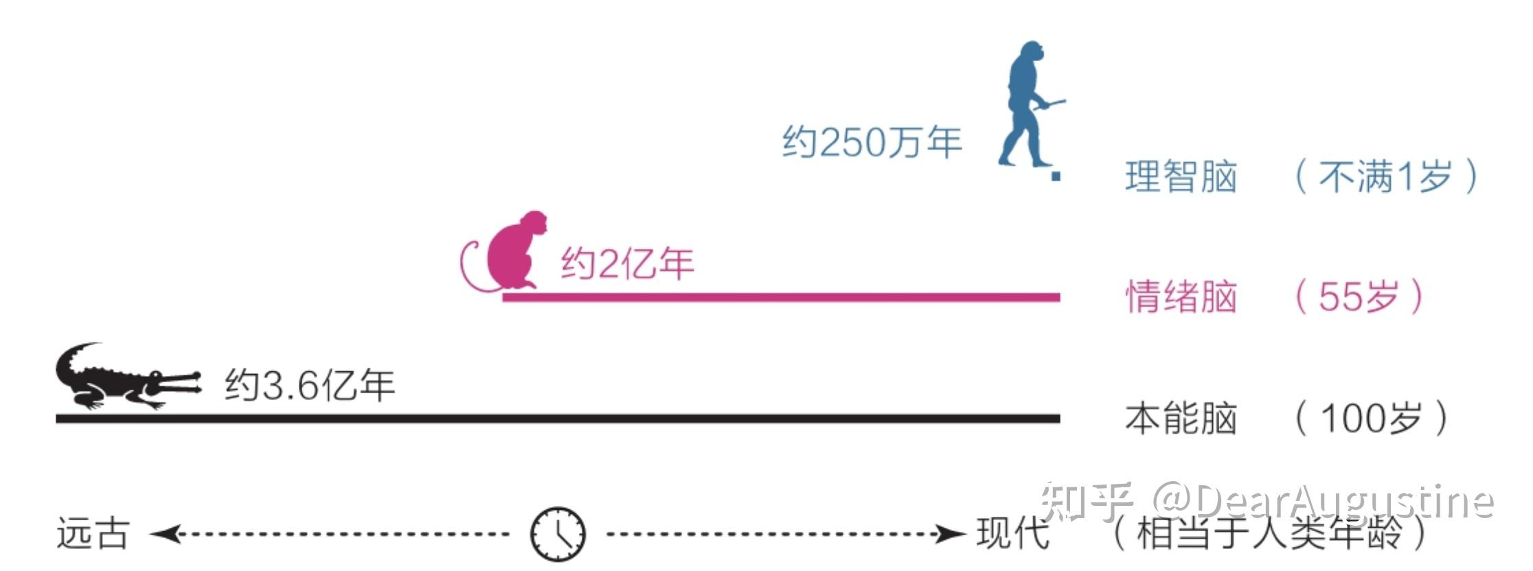 如何提高一个人的行动力? - 知乎