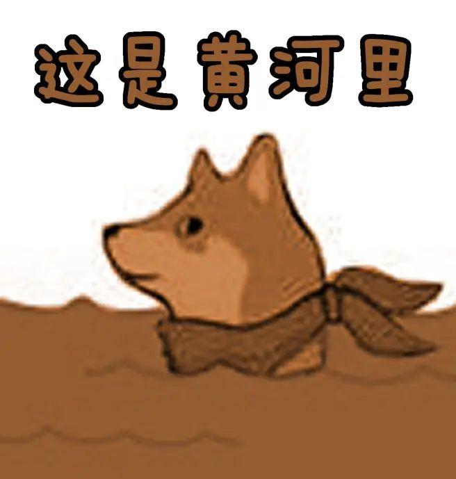 求合理河狸谐音系列表情包