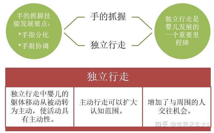 新生儿的成长过程之一行为及动作发展