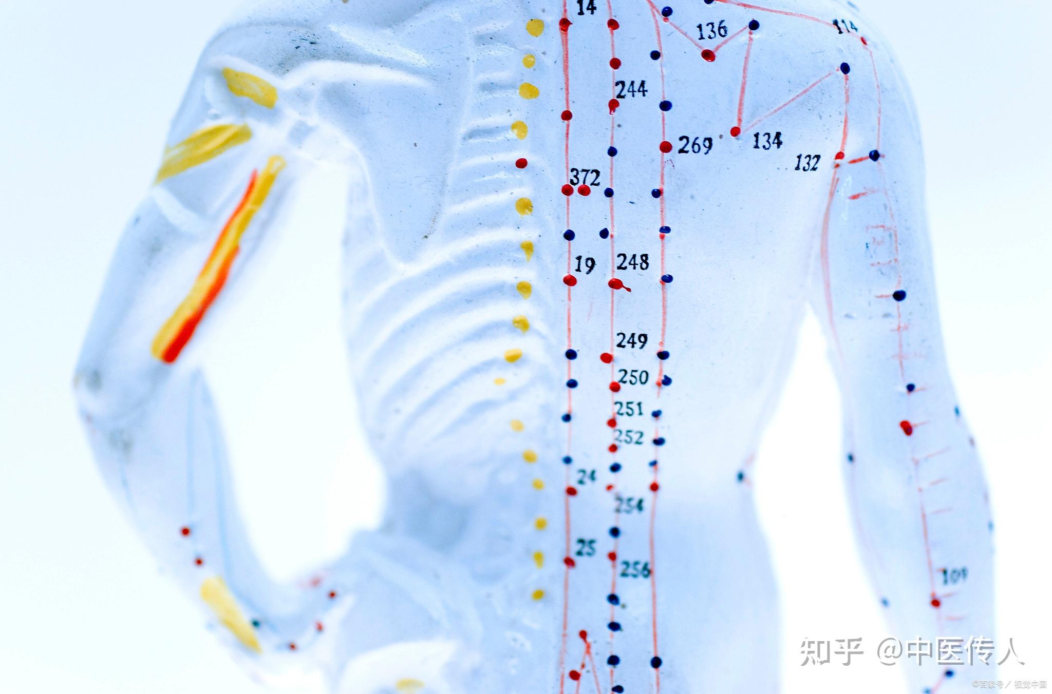 艾灸关元穴的深度解读 - 知乎