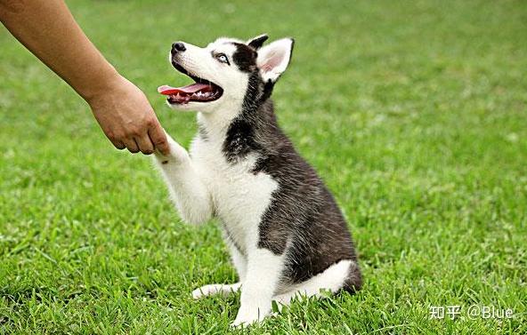 v2-0808d34ffc05195ada9a449556608298_r.jpg