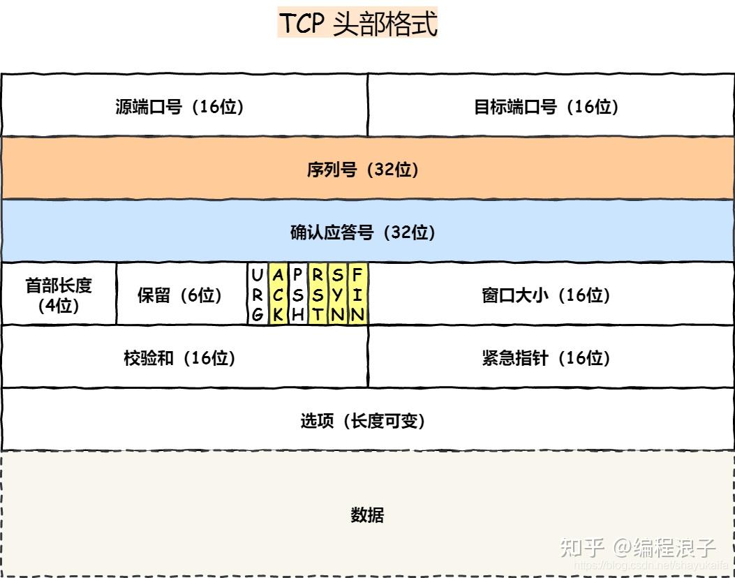 掌握TR符号的识别与理解技巧 (tle符号)