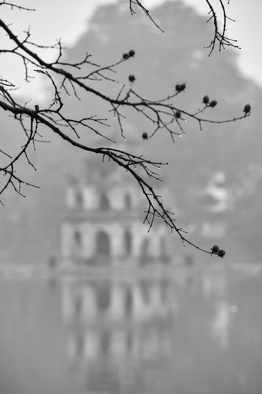 1. 湖畔春意盎然