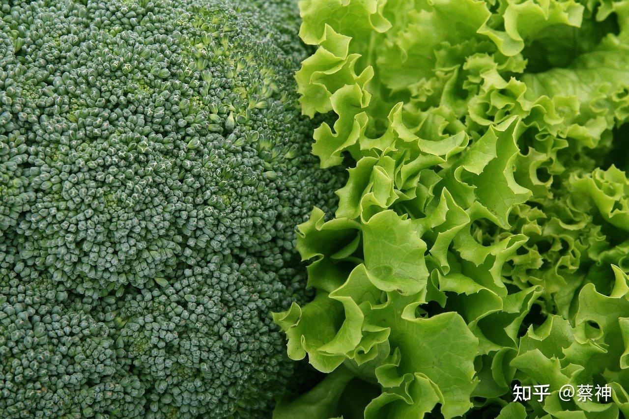 偶遇Lettuce ReadFrom特性小坑 - 知乎