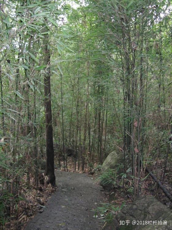 电视剧《西游记》外景地:安县-罗浮山 (中)
