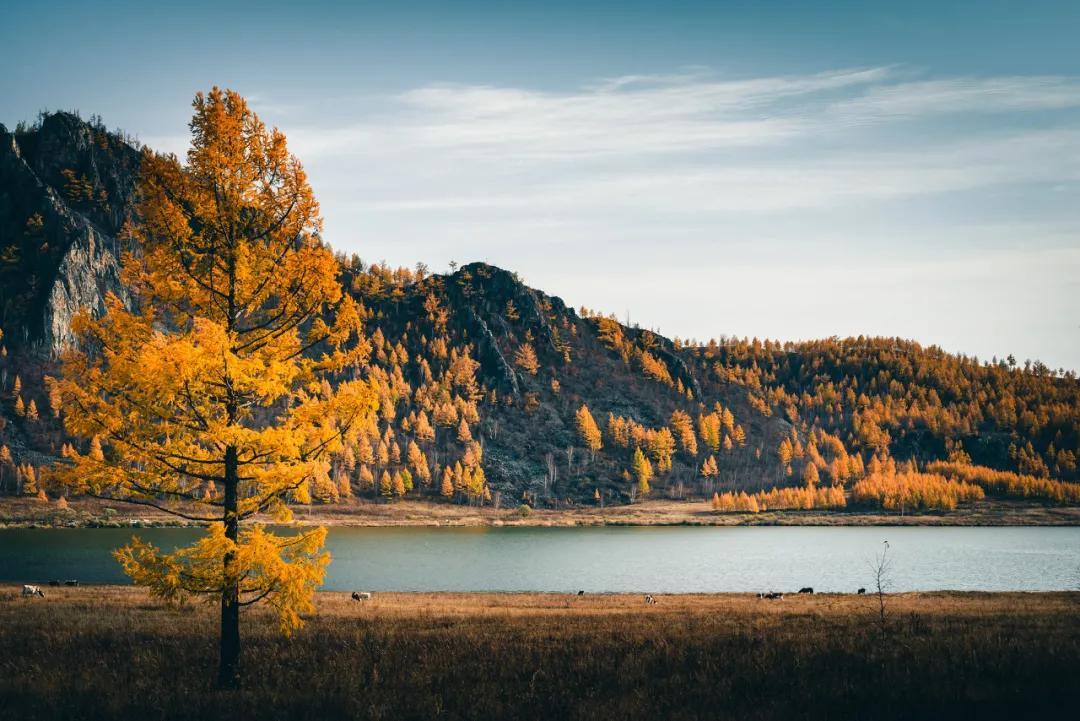 边陲是啥 v2-083432a51fa59882795277aa9c9f0b9c_r.jpg