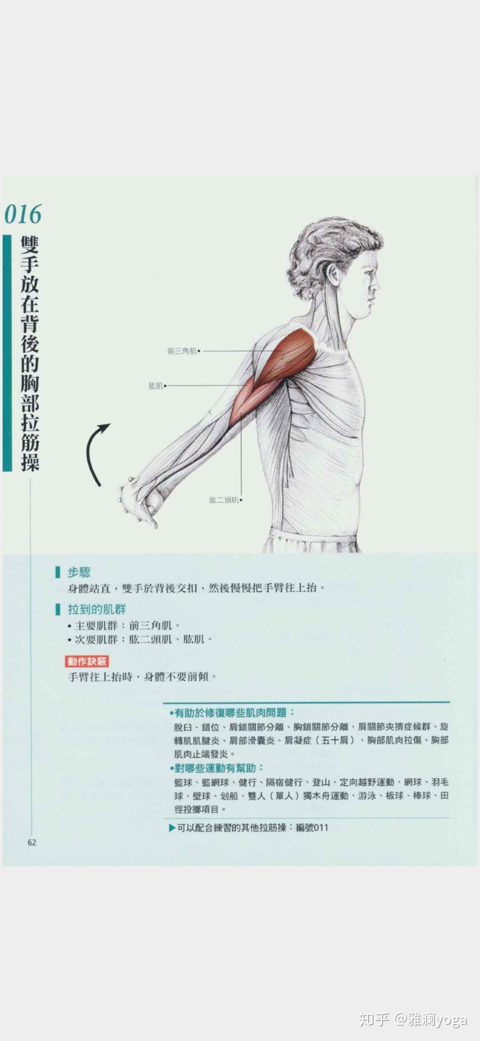 手臂三角肌发达怎么减? - 知乎