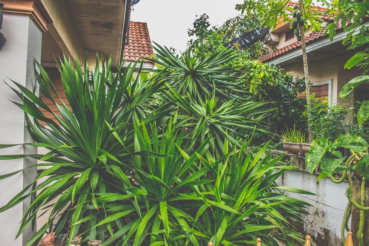 5. 秋季防潮小窍门