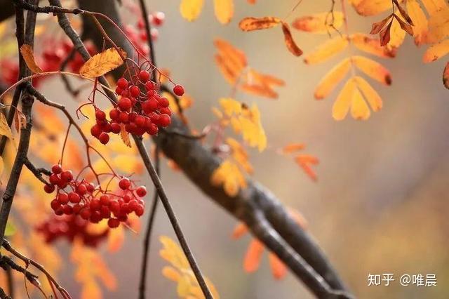 远香近臭保护感情的方法有所保留