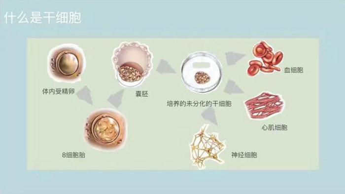 周光前:奏响再生医学的交响曲