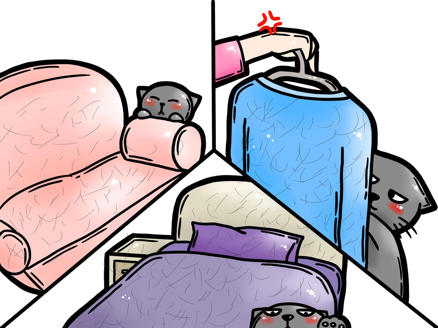 猫掉毛很正常 猫掉毛不一定正常 如何降低猫毛对人的危害 知乎