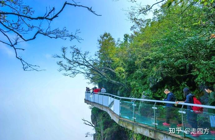 张家界市区有哪些值得打卡的景点？ - 知乎