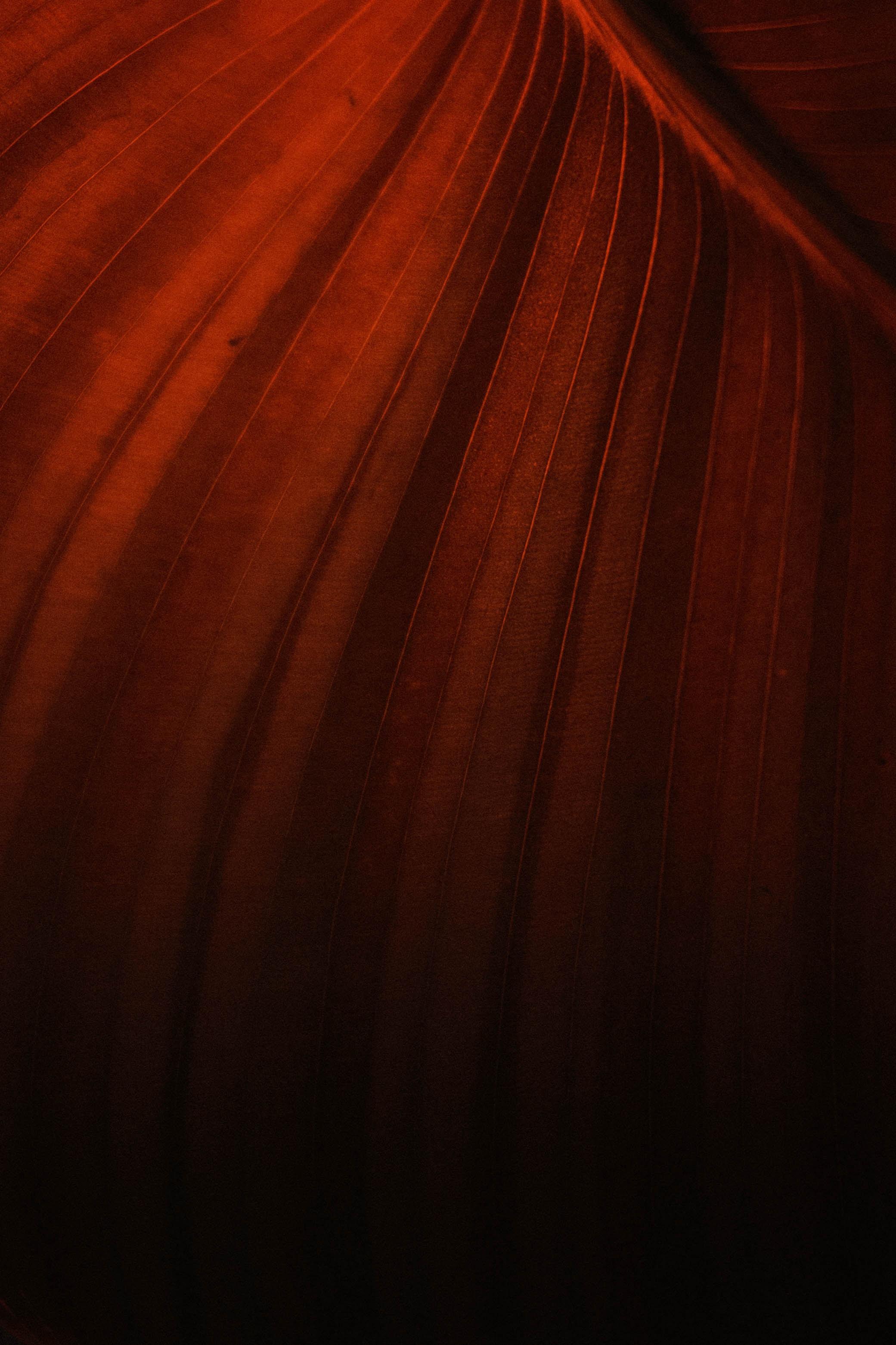 别墅占地面积多大？