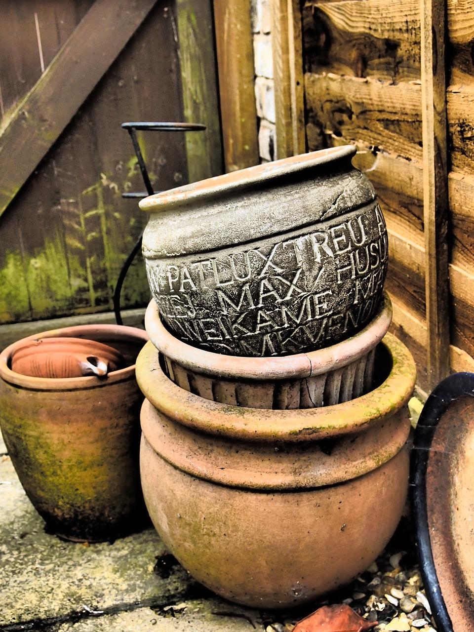 1. 热门花种推荐