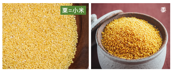 稷、黍,粟,究竟指什么? - 知乎