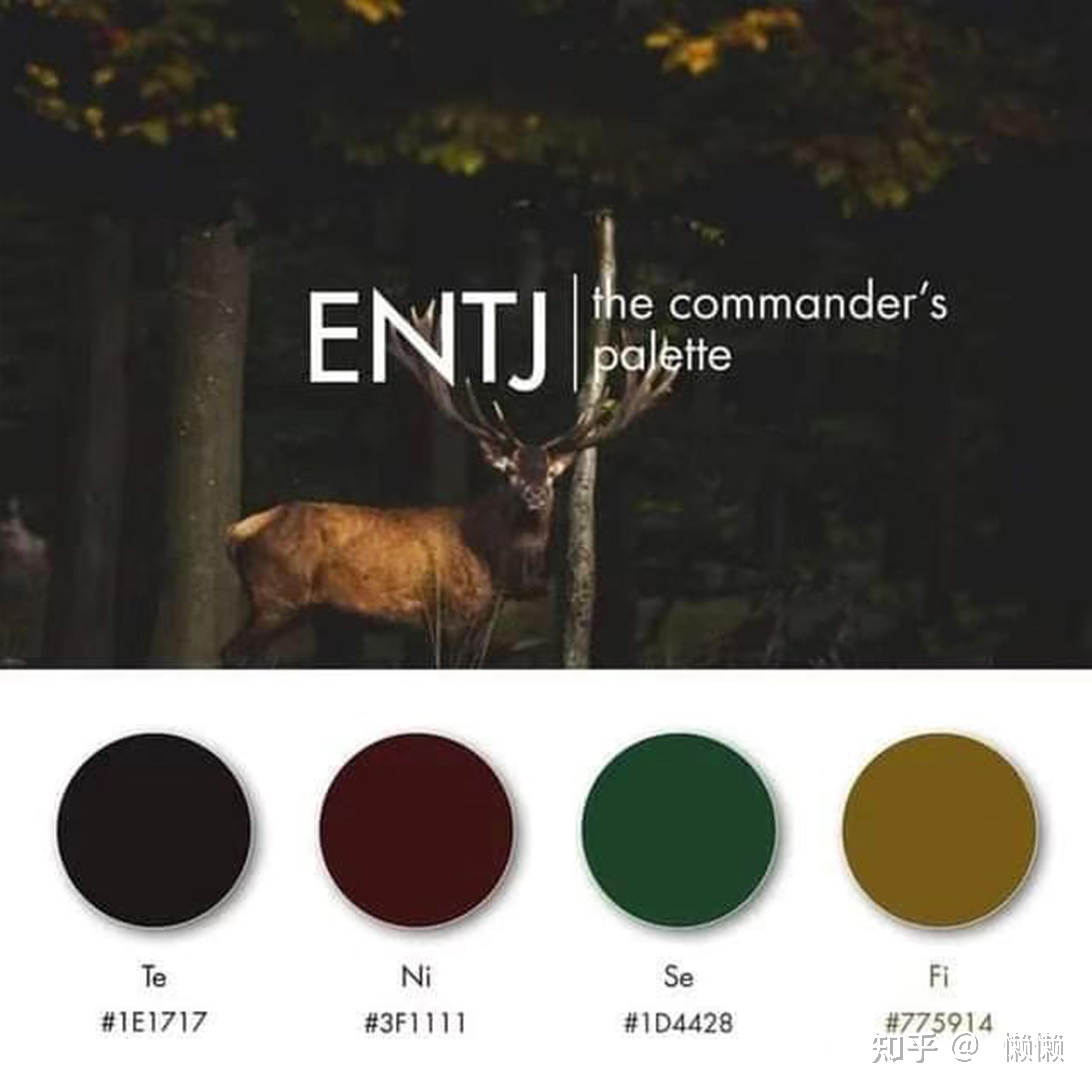 entj intp - 知乎