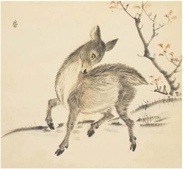《诗经》里那些动物，现在名字是什么? - 知乎