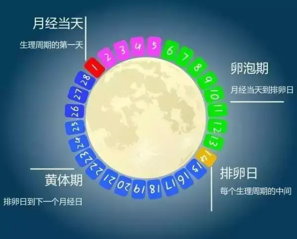 经期可以做哪些运动？该如何减脂？ 知乎 
