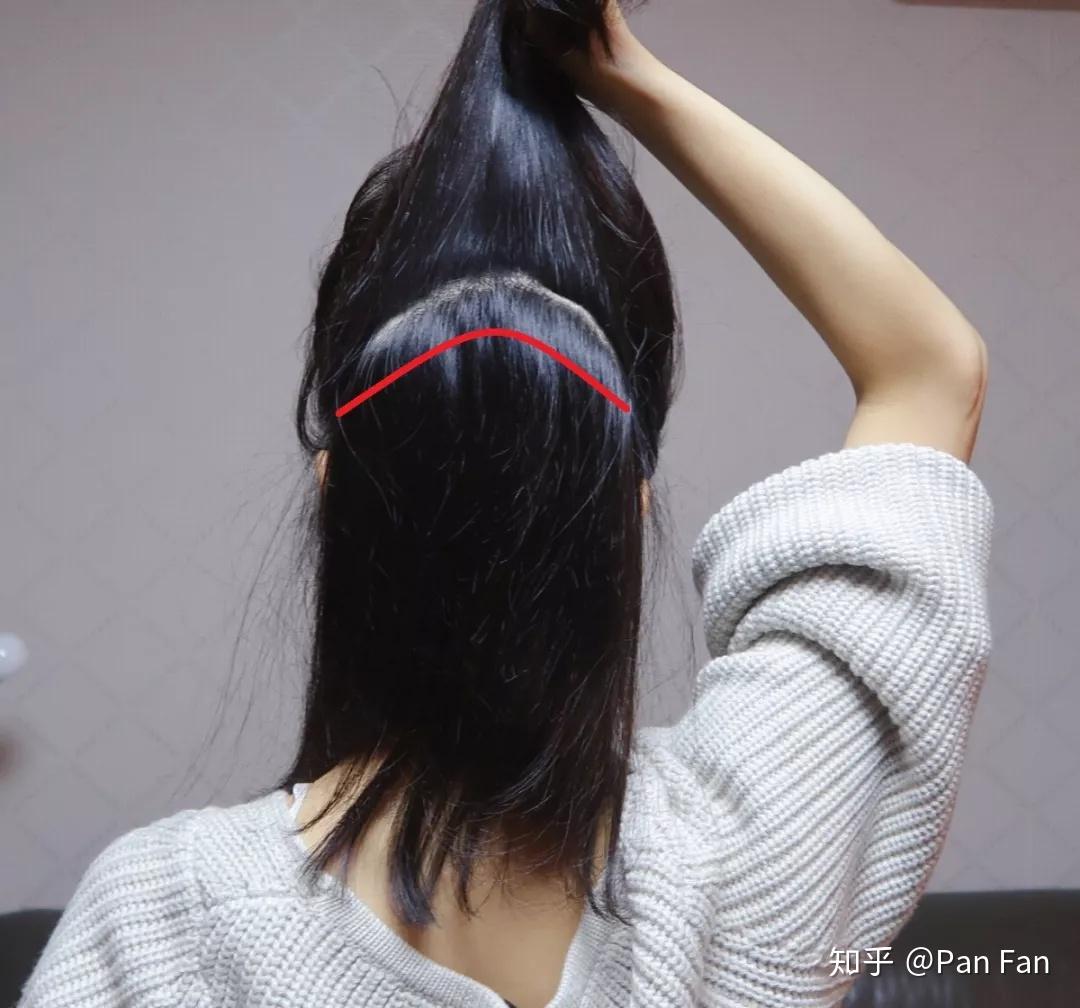 狼尾发型（狼尾头层次剪裁应用，不一样的方法，剪出不一样的发型） | 说明书网