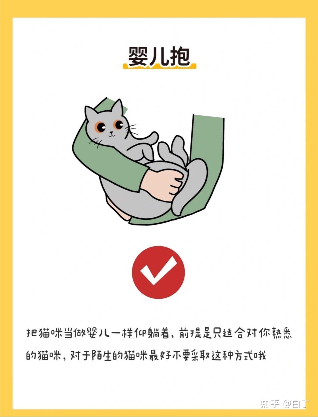 如何抱猫,才是主人最安全且让猫最舒服的姿势? - 知乎