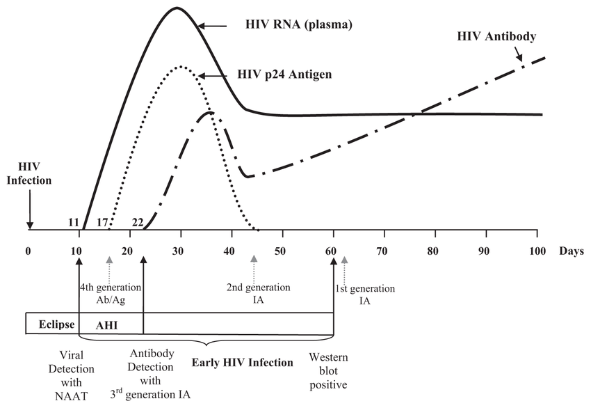 为什么会出现hiv感染的急性期症状呢?