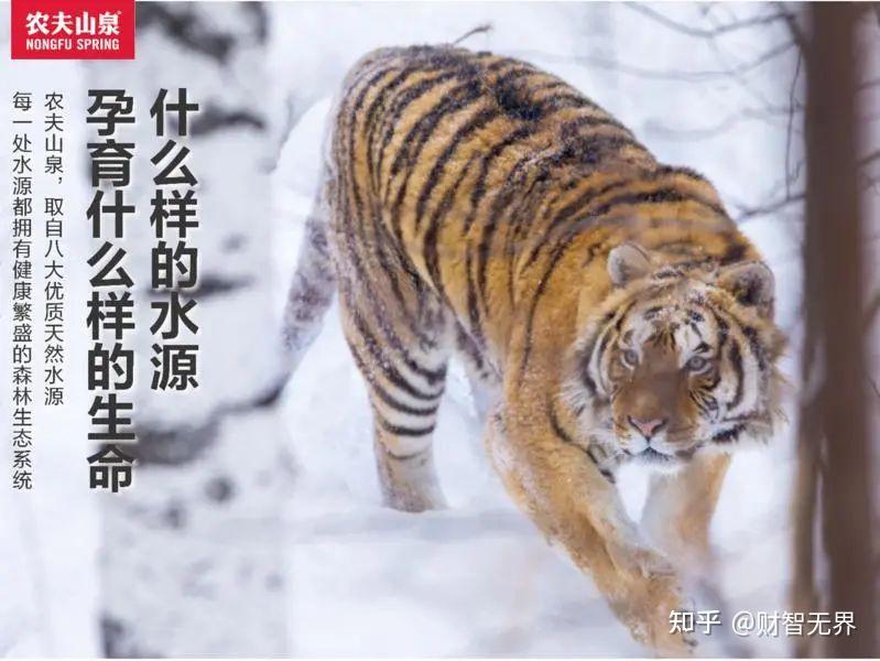 靠营销和水起家的农夫山泉也因营销缩水了财智观点