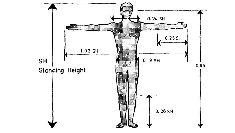 『设计+史』——人机工程学 Biology Diagrams
