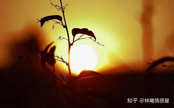 一句话挽回爱情：10条挽回感情的金句，那一句戳中你的心 情感文章 第8张