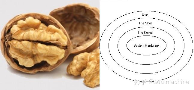 终端、shell以及shell解释命令原理 - 知乎