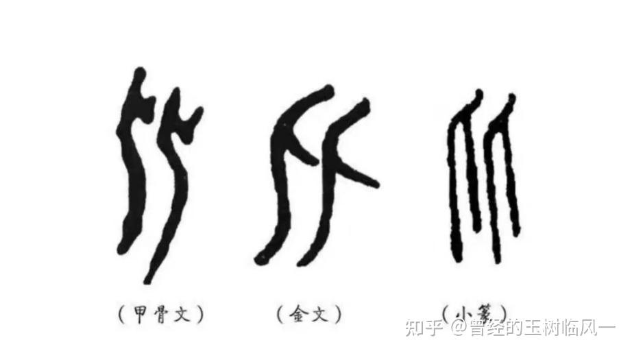 你知道吗，这三组字都念错了：重与出，射与矮，牛与鱼 - 知乎