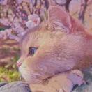 Zhihu profile picture for @pagers