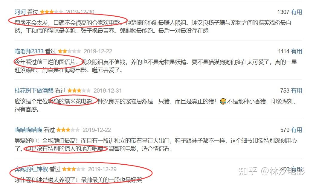 《宠爱》影评:元旦黑马作品,你看哭了么?豆瓣仅6.2分