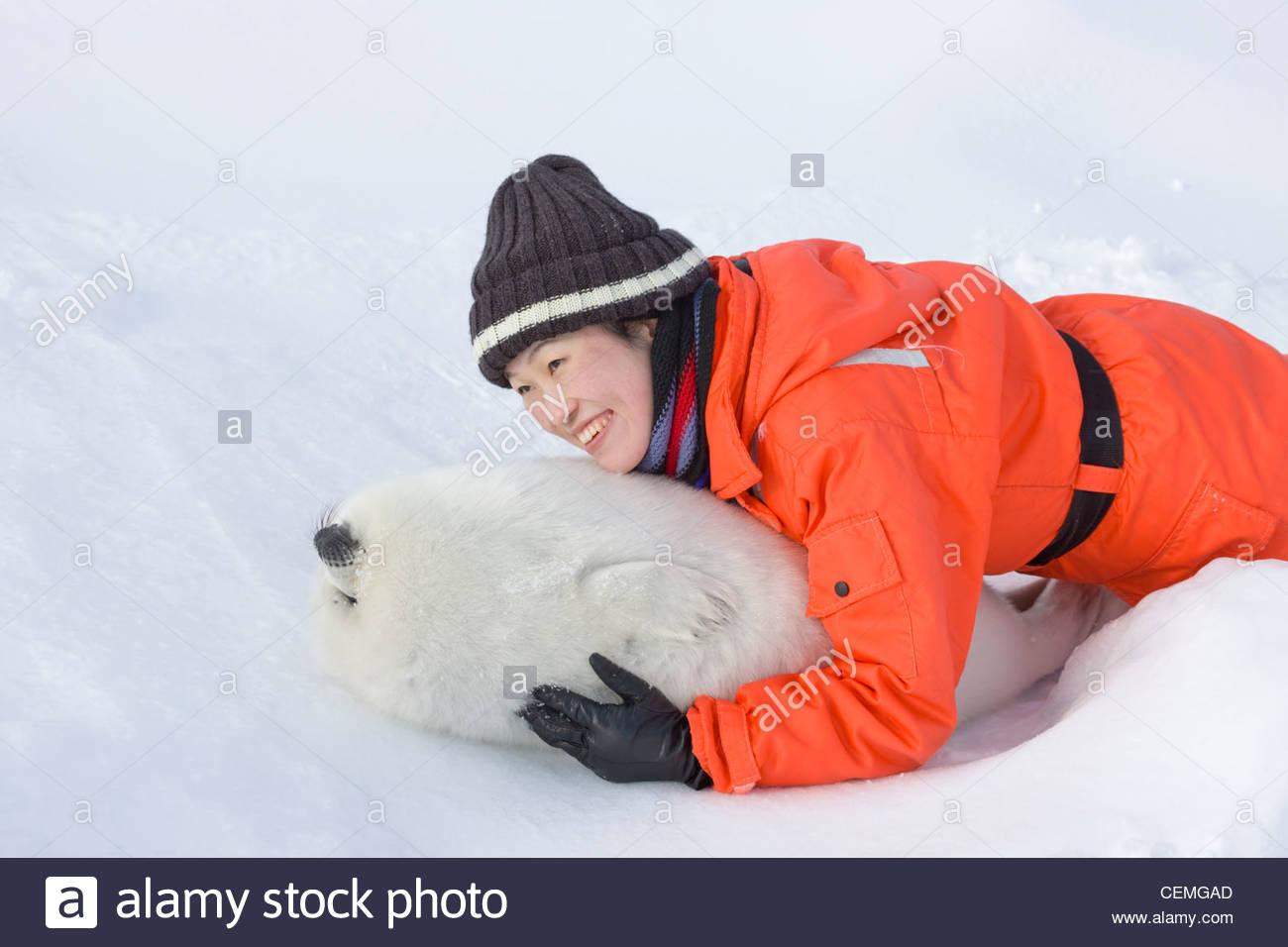 格陵兰海豹生活在哪个国家?想收养一只现实吗