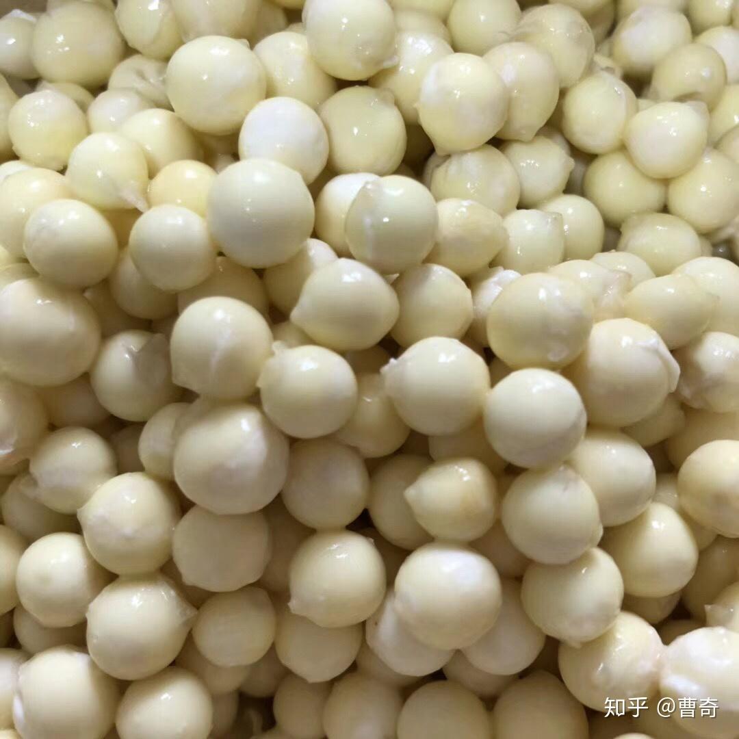 苏州南塘鸡头米又上市啦