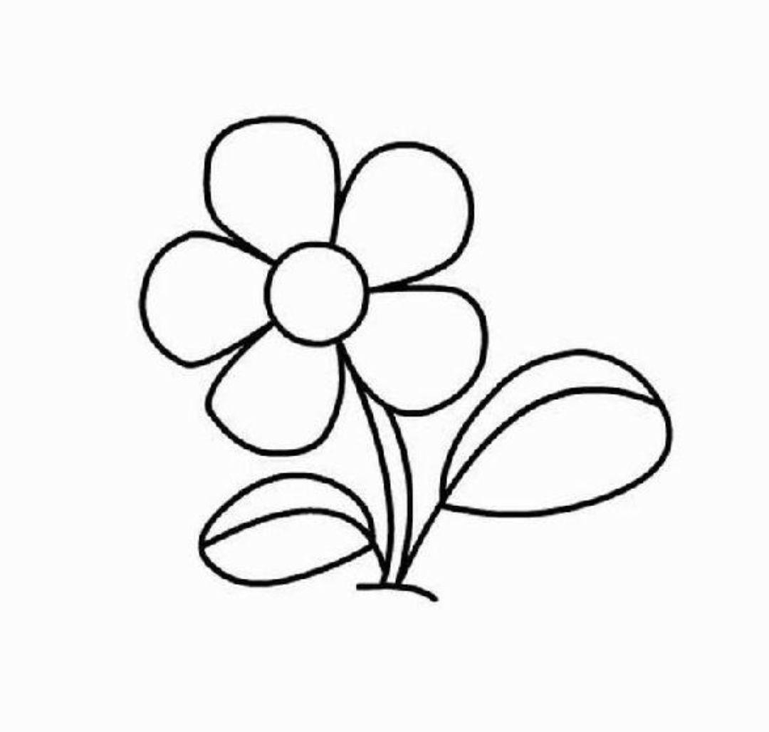 为什么有人喜欢假装不努力? - 知乎