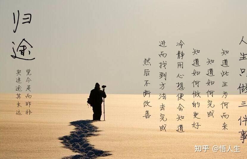 感悟人生学会宽容待人 - 知乎