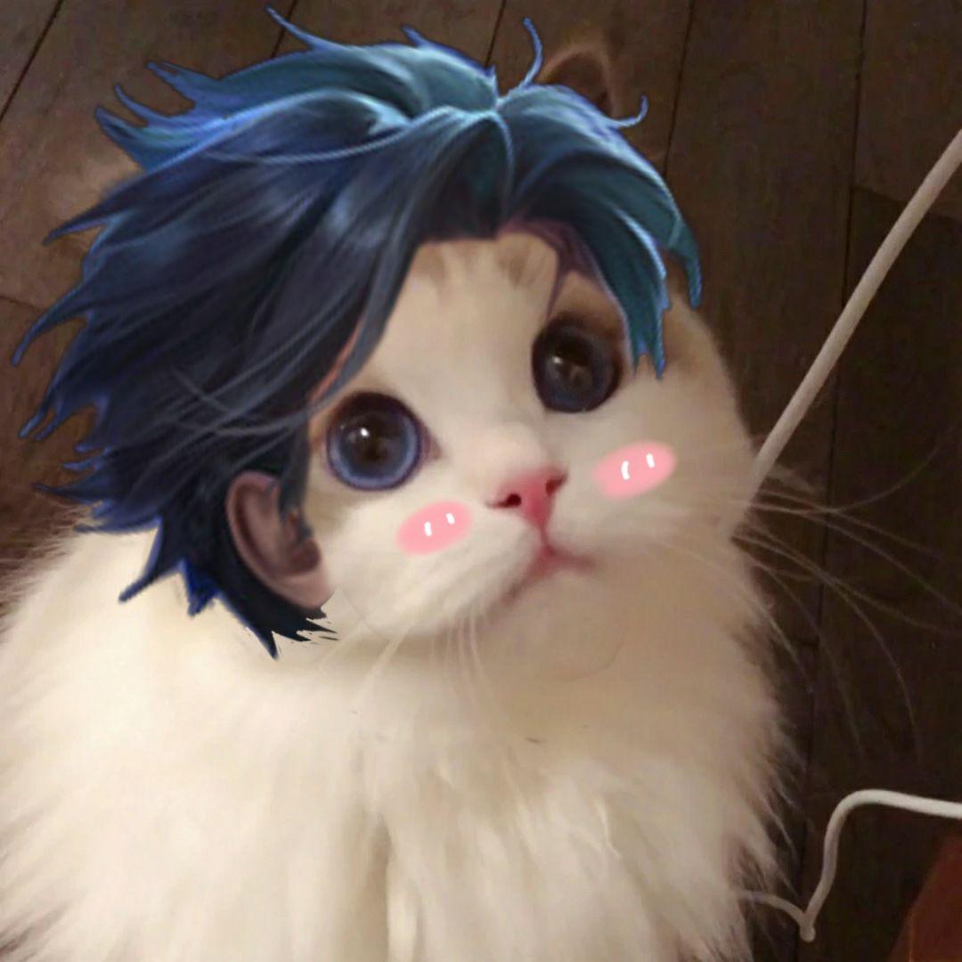 谁有王者荣耀五黑头像