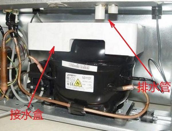 容聲冰箱bcd-255wkr1nyg排水口在哪圖解? - 知乎