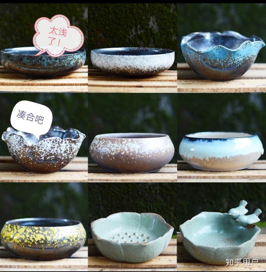 碗莲怎么水培?(水培碗莲种植方法图解)