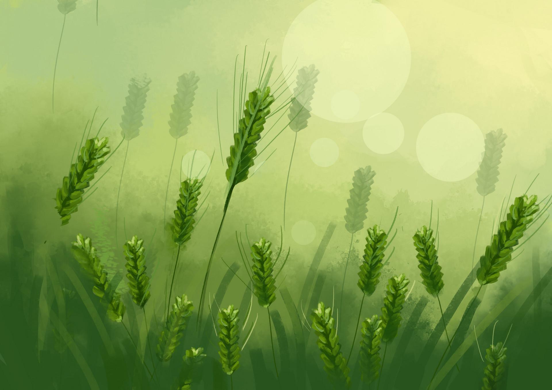 研究进展研究发现历史时期青藏高原东北部农业活动对气候变化具有较强