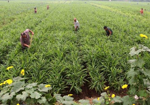 v2-092469a3a44e55fb38eb18161616eeff_1440w.jpg?source=172ae18b