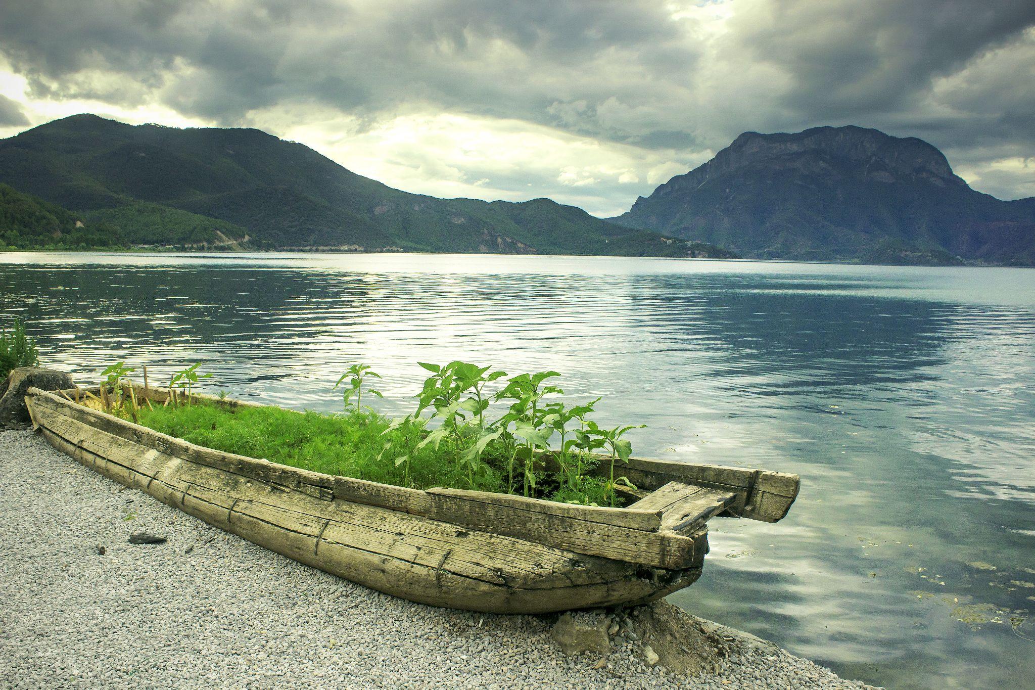 你曾用佳能eos200d拍出什么喜欢的照片