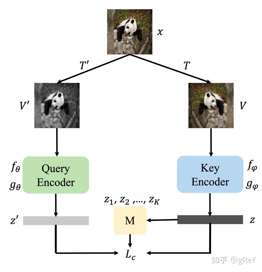 Contrastive Learning with Stronger Augmentations - 知乎